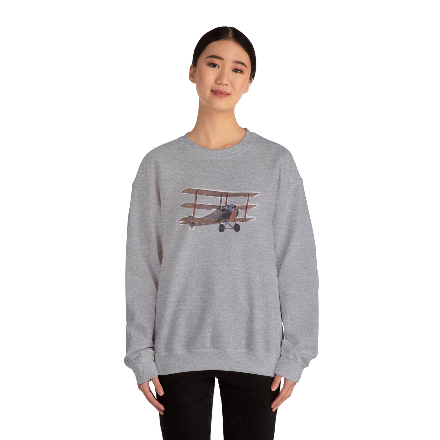 Plane Sweatshirt