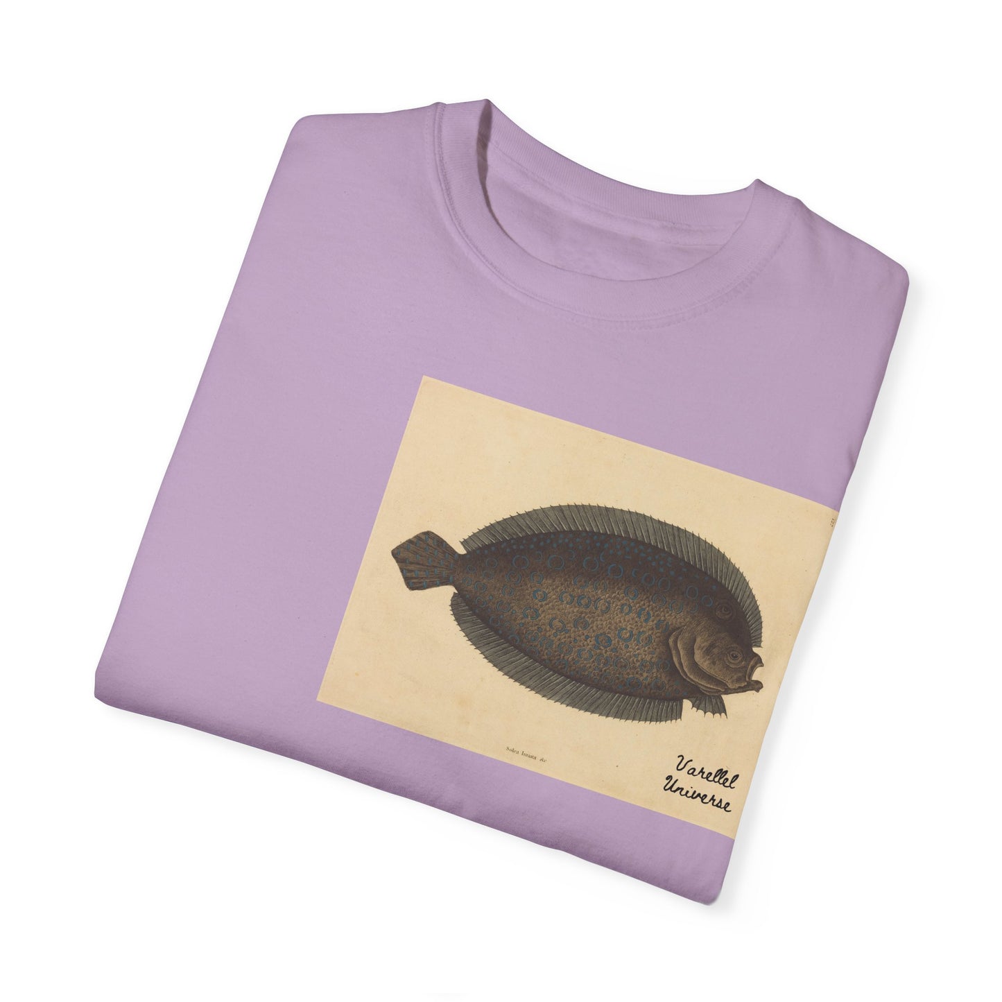 Floundering - Pleuronectes Lunatus