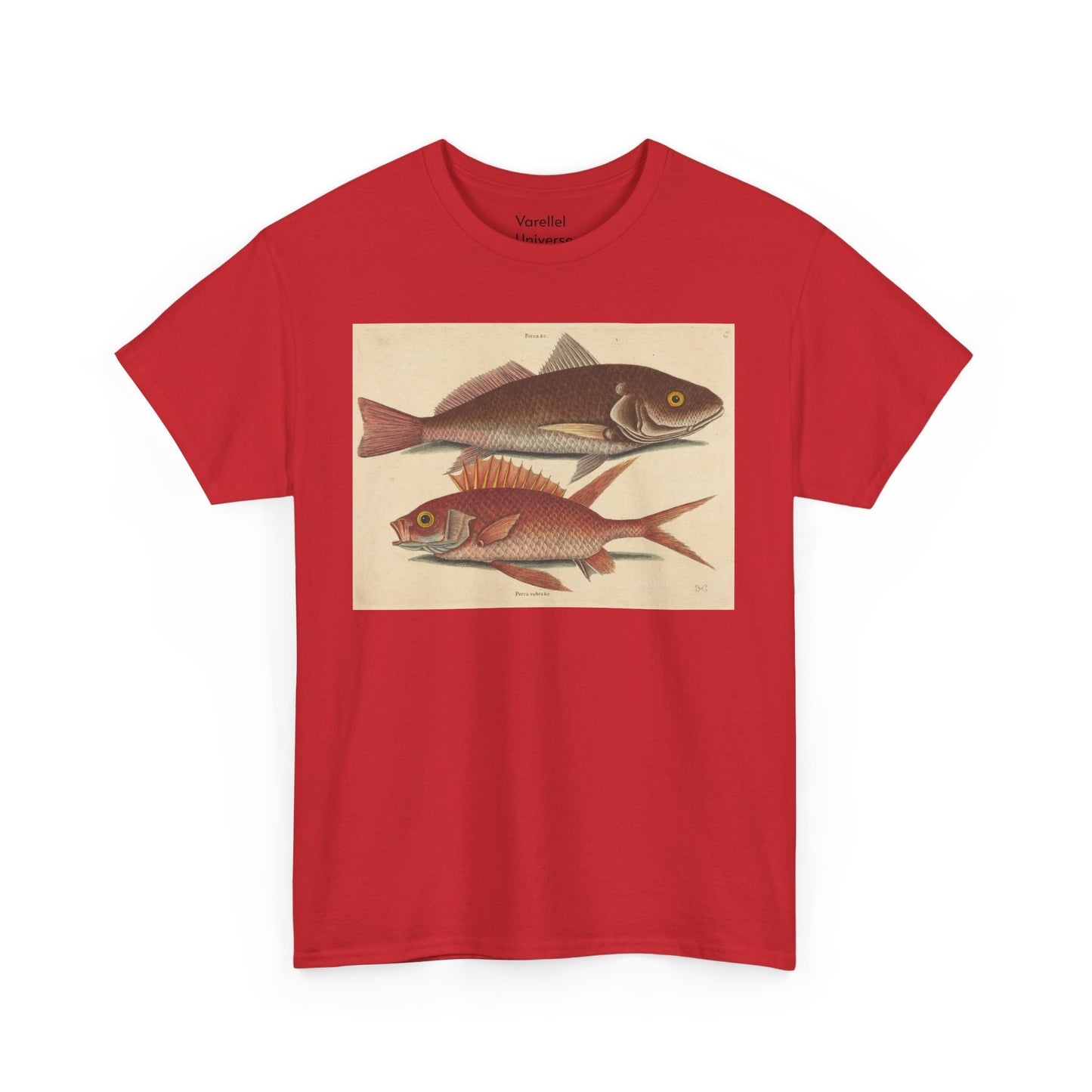 Gone Fishing