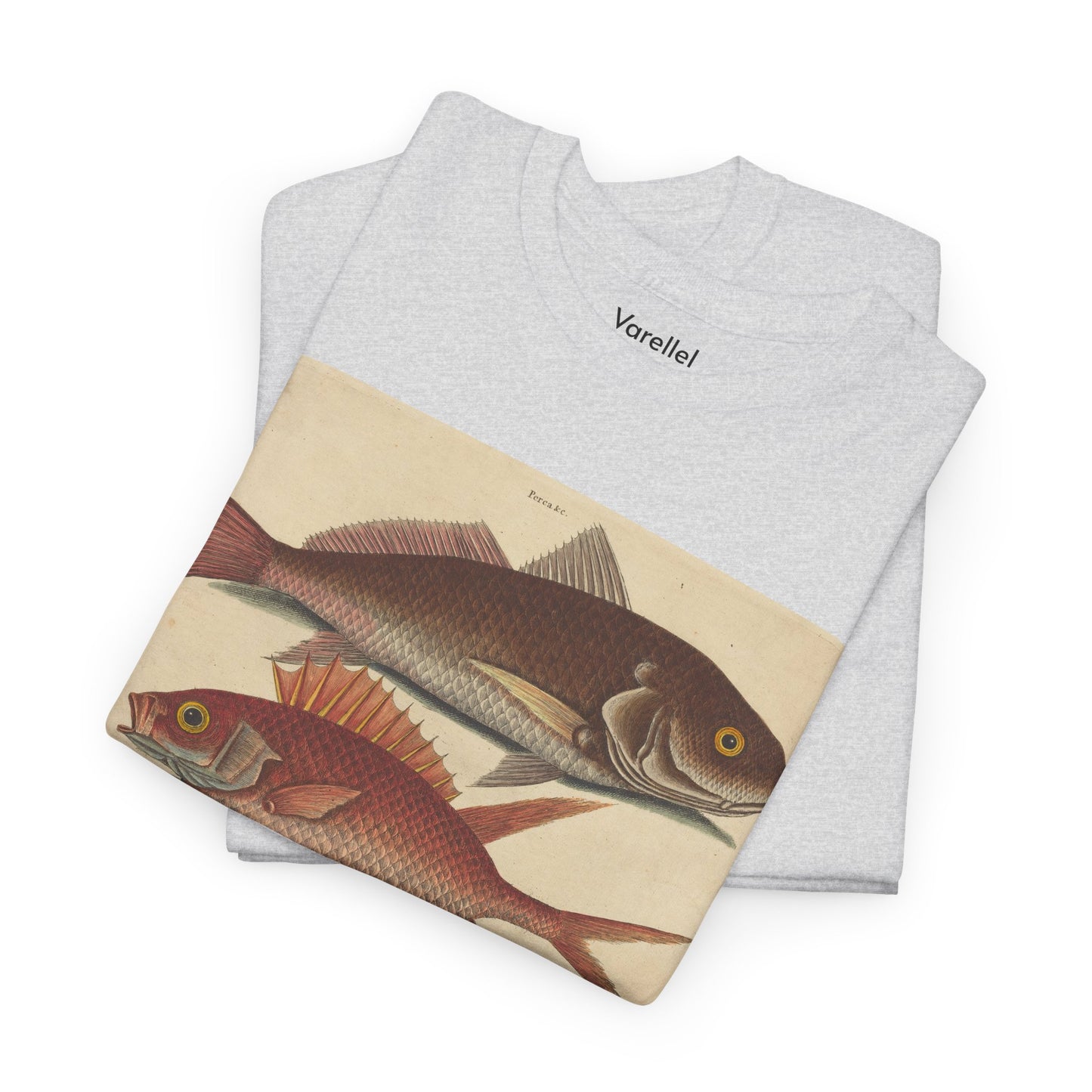 Gone Fishing
