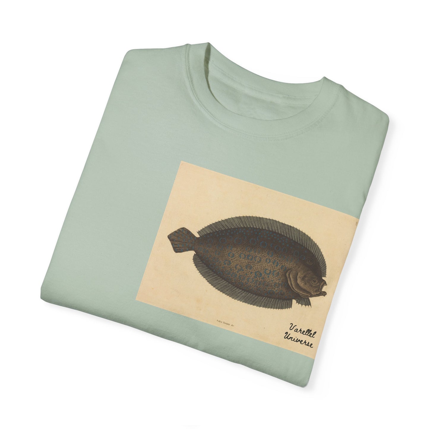 Floundering - Pleuronectes Lunatus