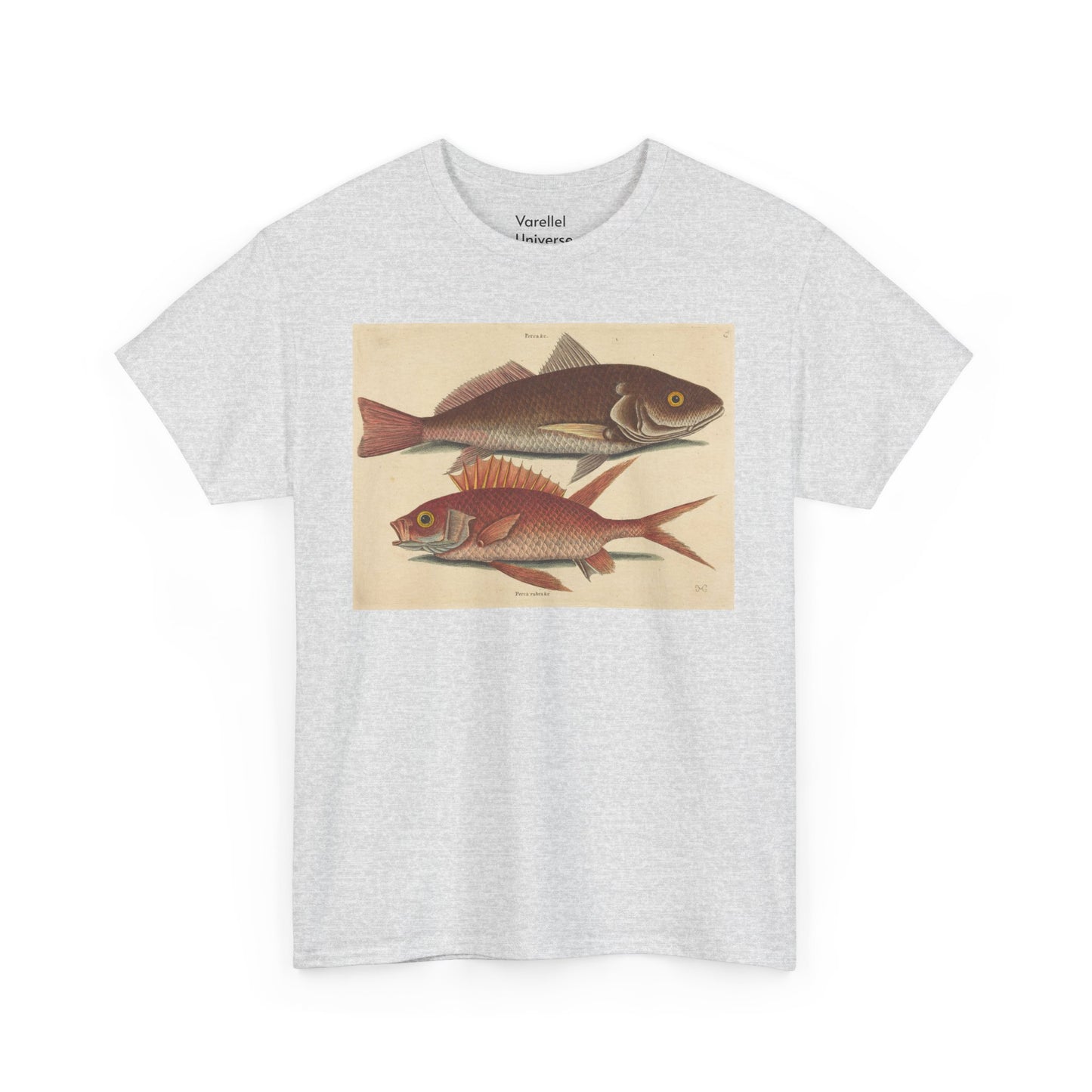 Gone Fishing