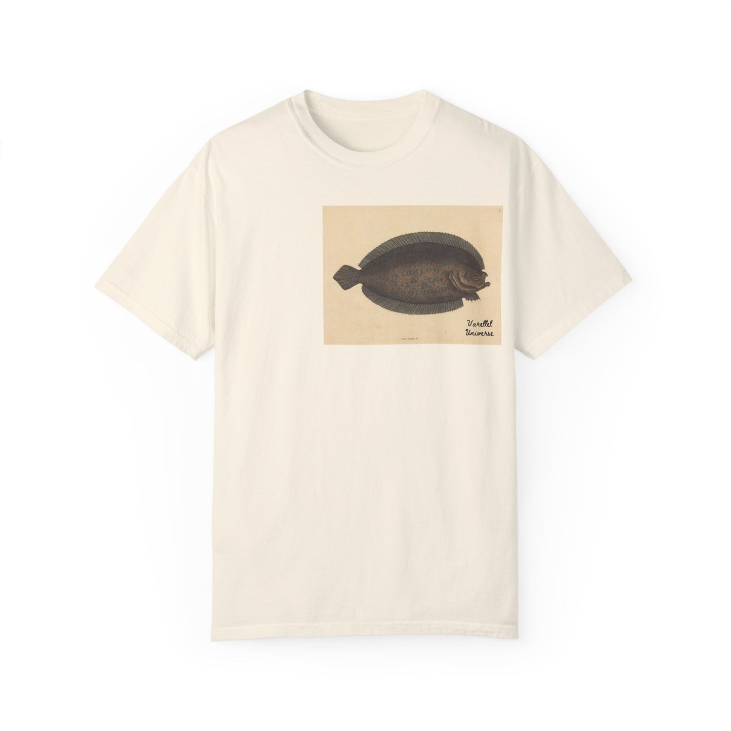 Floundering - Pleuronectes Lunatus