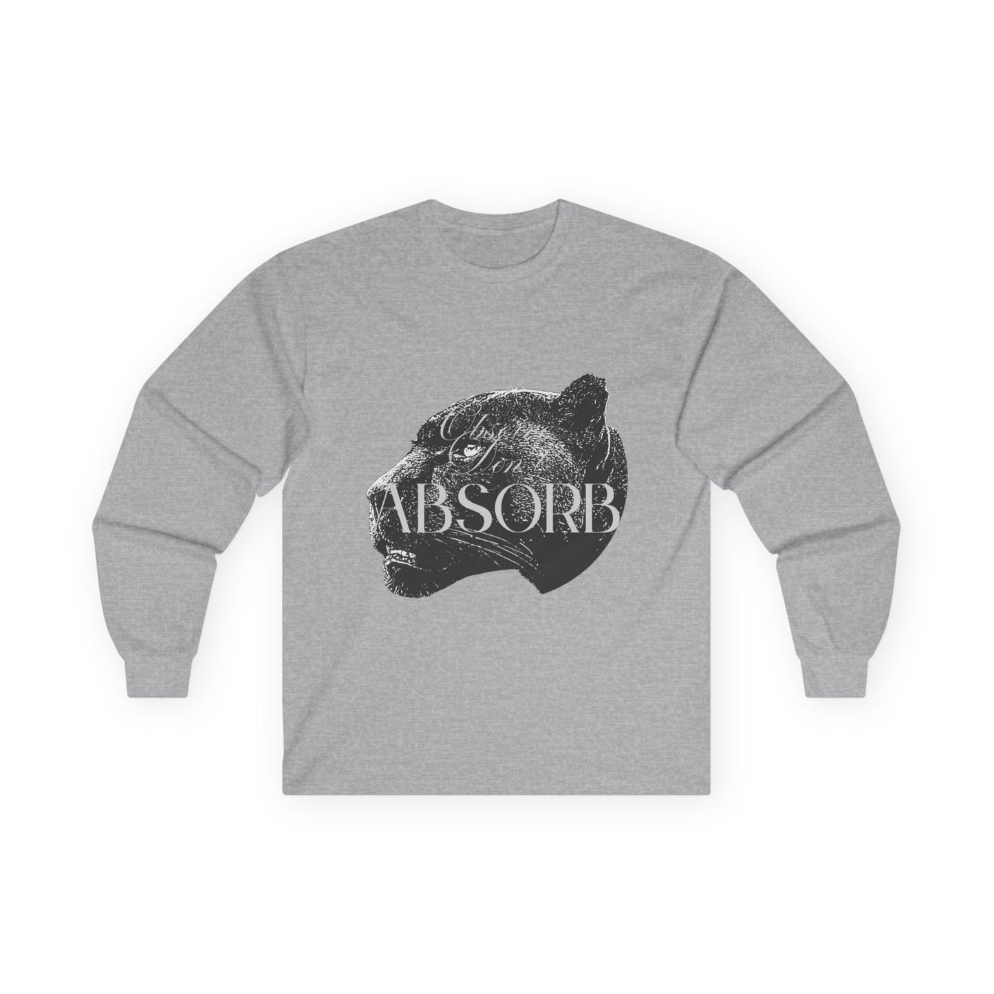 Observe Don't Absorb