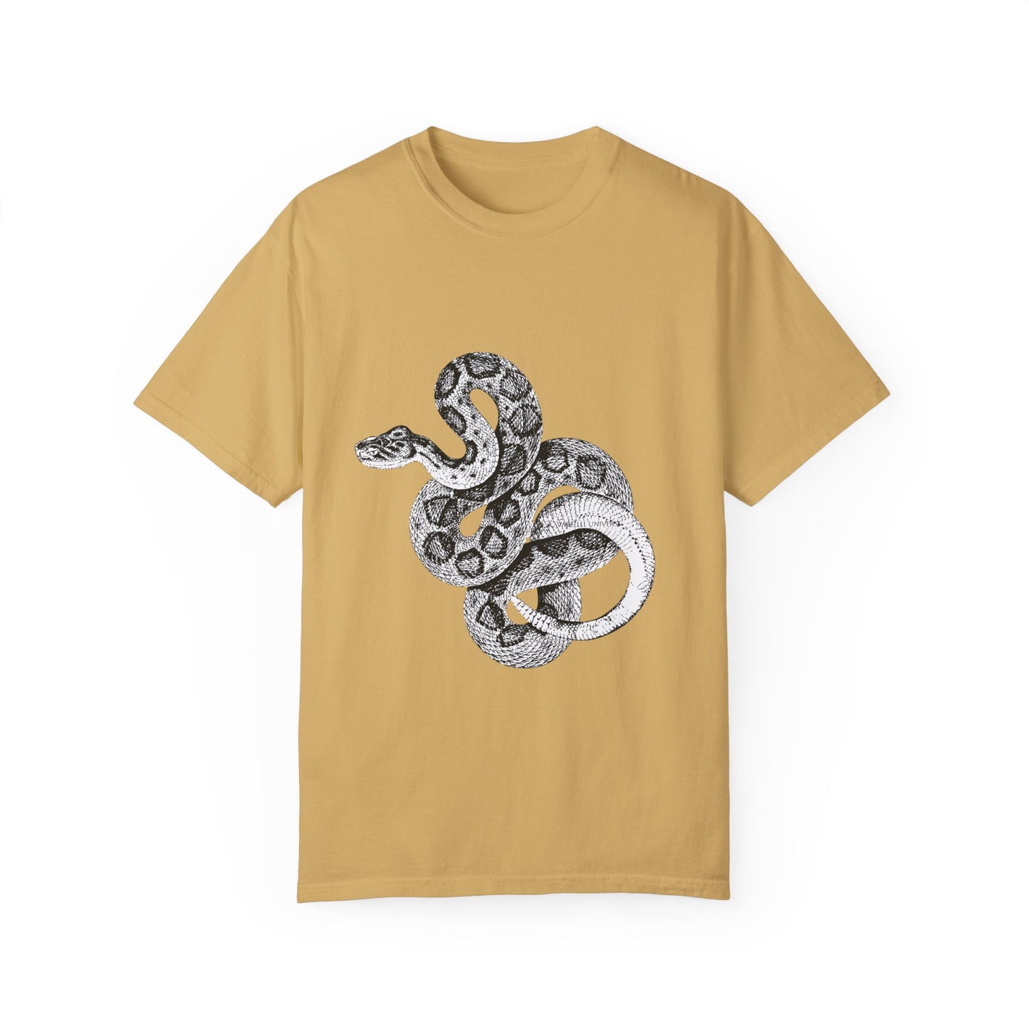 Year of the Snake