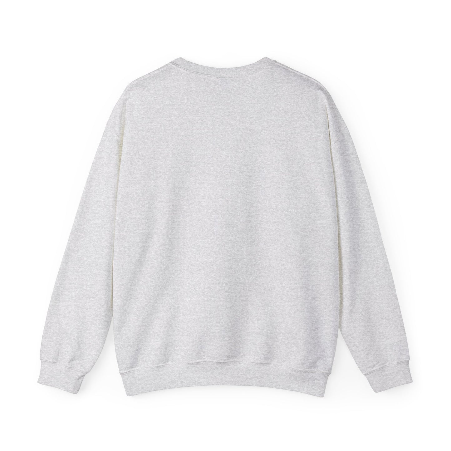 Plane Sweatshirt