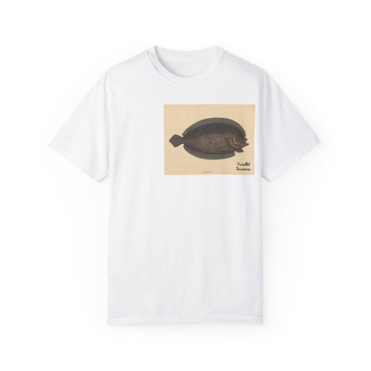 Floundering - Pleuronectes Lunatus