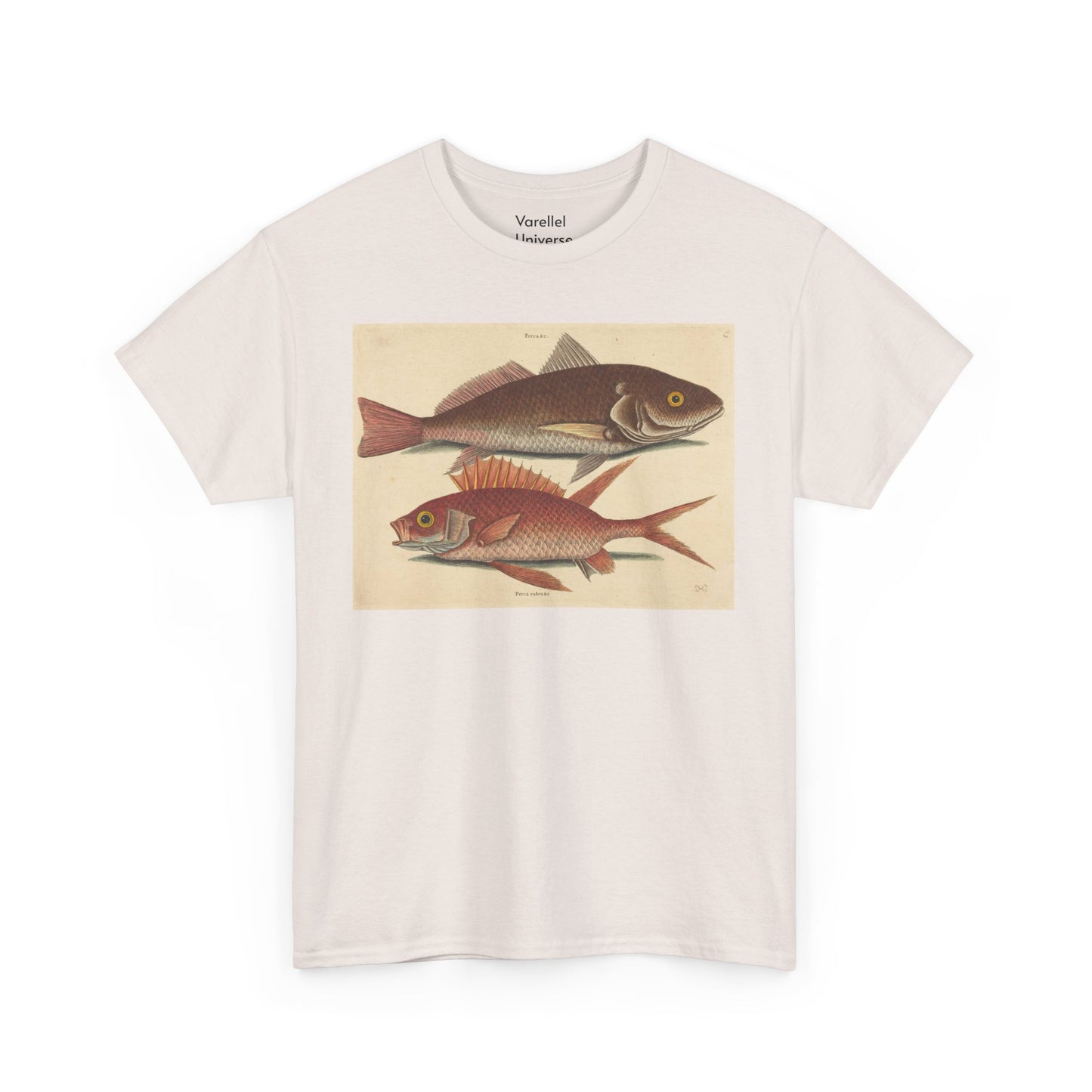 Gone Fishing