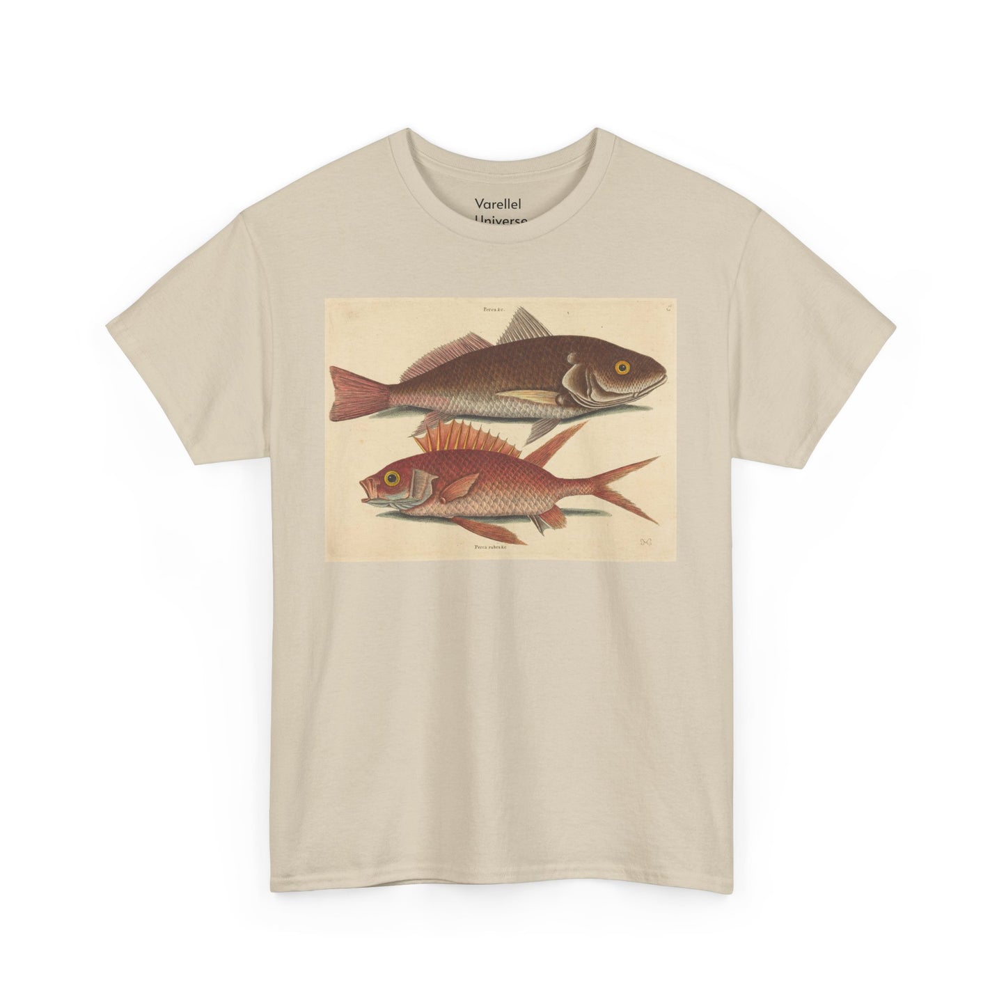 Gone Fishing