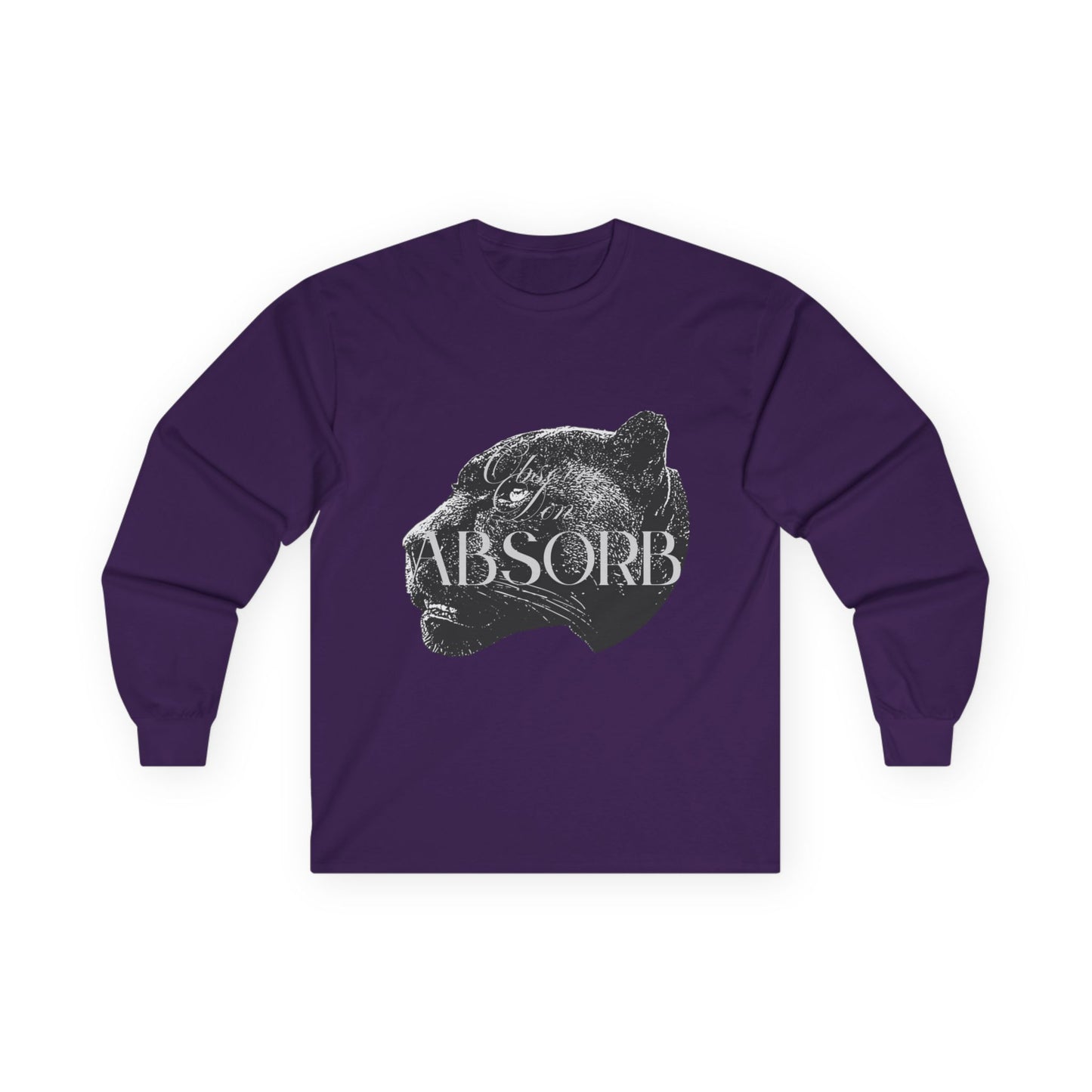 Observe Don't Absorb