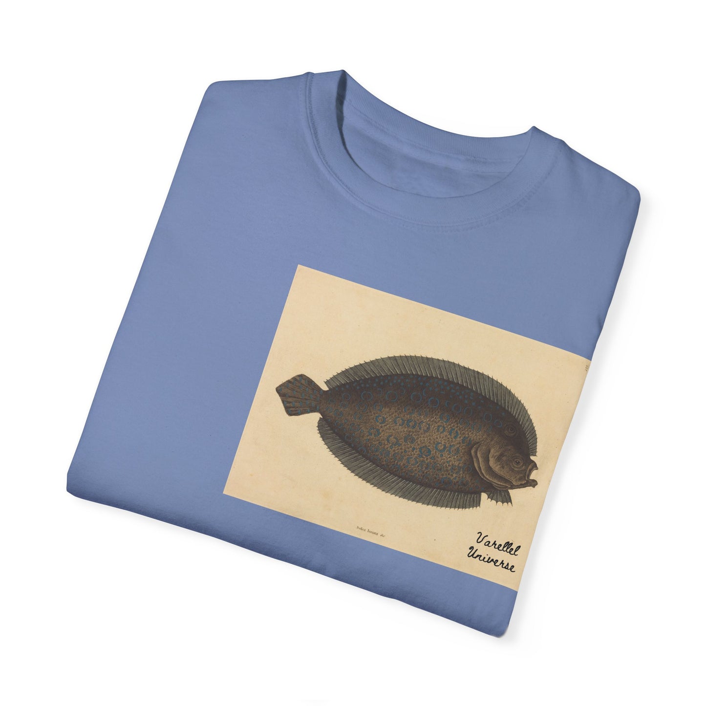 Floundering - Pleuronectes Lunatus
