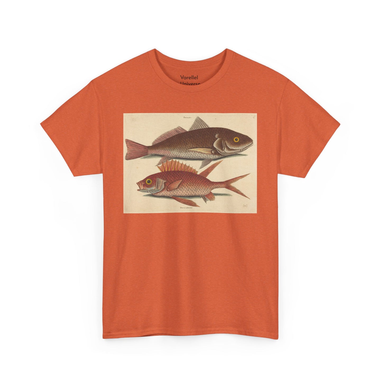 Gone Fishing