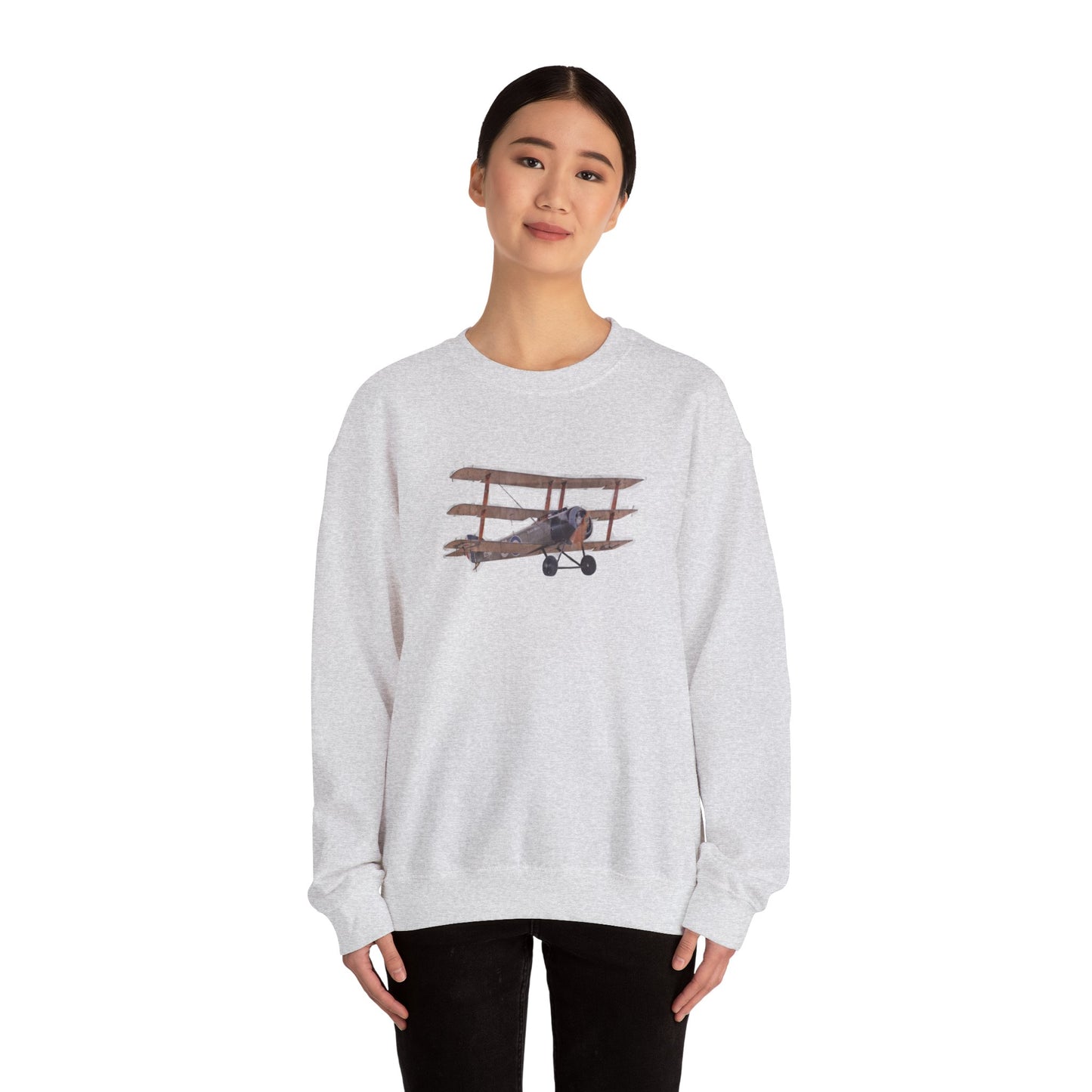 Plane Sweatshirt